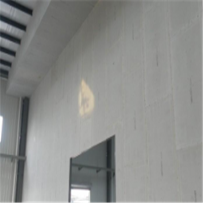 临川宁波ALC板|EPS加气板隔墙与混凝土整浇联接的实验研讨